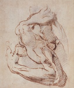 研究手臂（墨水）Inv.1859514819（W.49） 作者 米开朗基罗（Michelangelo Buonarroti）